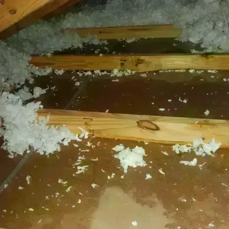 Attic Water Damage in Ankeny, IA