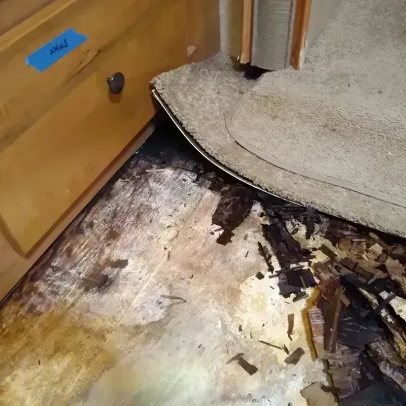 Wood Floor Water Damage in Ankeny, IA